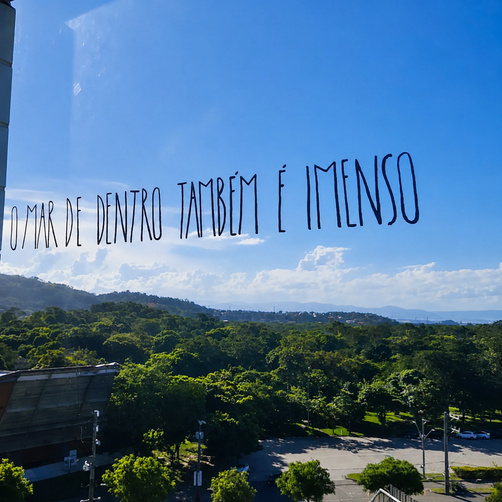 Sara Sotte - Psicóloga em Jardim da Penha, Vitória - ES